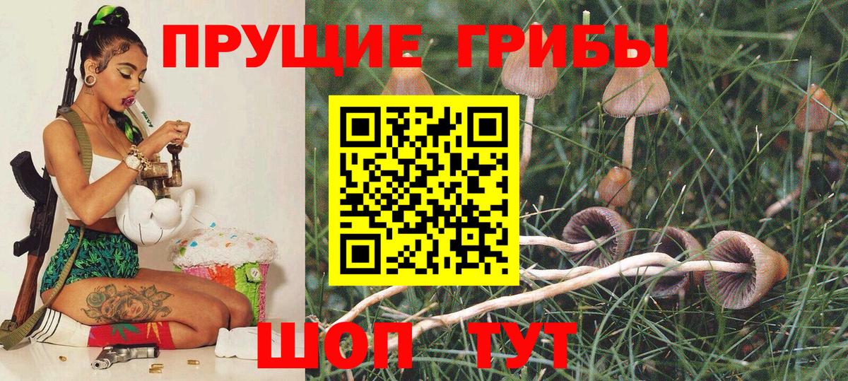 Галлюциногенные грибы мицелий  Вход с VPN  Махачкала 